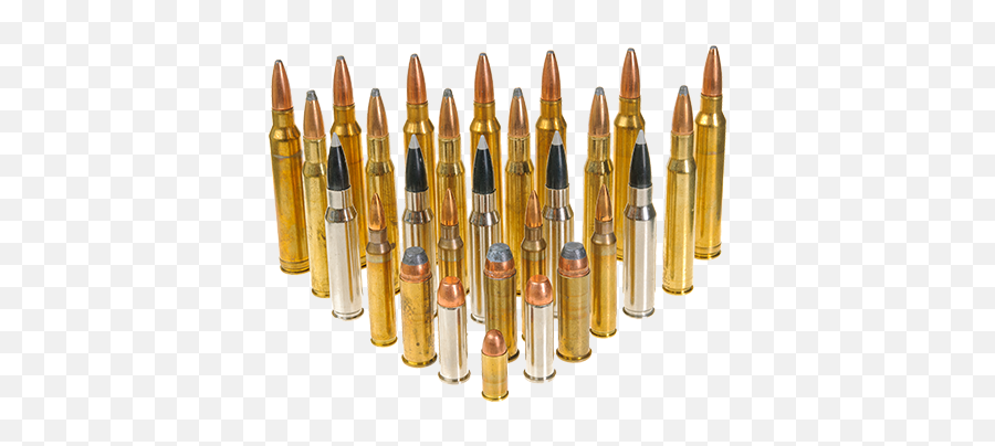 About Us - Short Round Supply Co Bullet Png,Bullet Belt Png