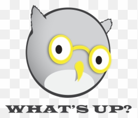 Whats Up Owl Logo - Cartoon Png,Owl Logo