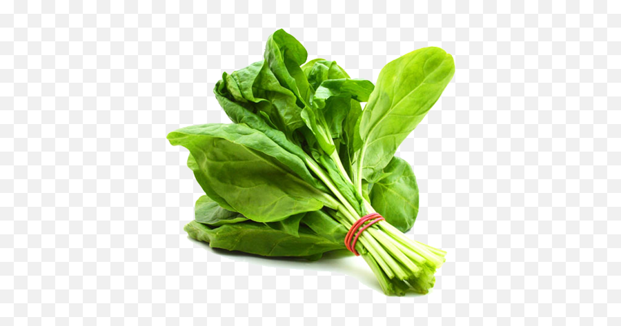 Spinach Png High Quality Image - Palak Vegetable Name In English,Spinach Png