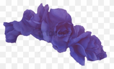Free Png Purple Flower Crown