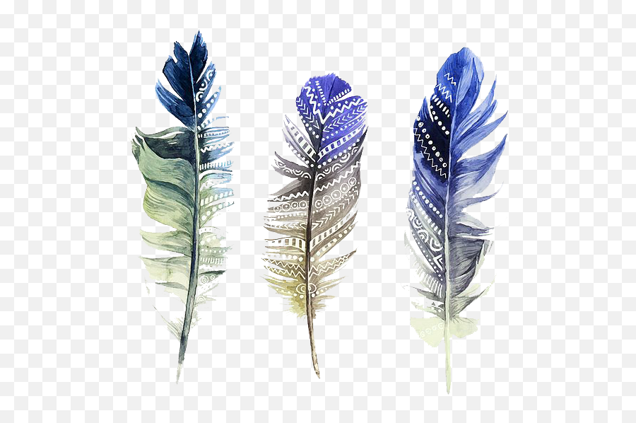 Download Hd Feather Watercolor Painting Illustration - Watercolor Transparent Feather Hd Png,Feather Transparent