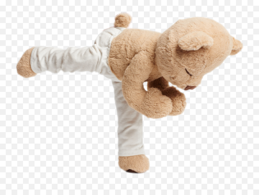 Learn How To Do Warrior Three U2013 Meddy Teddy - Yoga Meddy Teddy Warrior 3 Png,Warrior Transparent