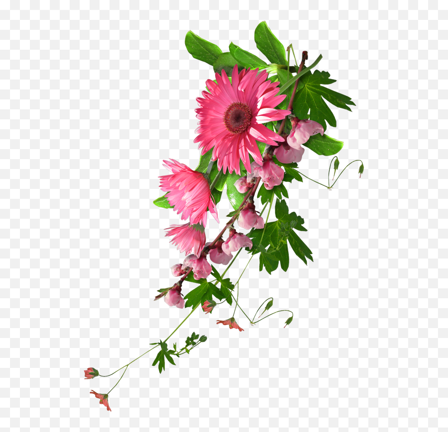 Download Hd 0 8e946 Df2613b Orig - Real Flower Clip Art Transparent Background Real Flower Png,Flower Clip Art Png