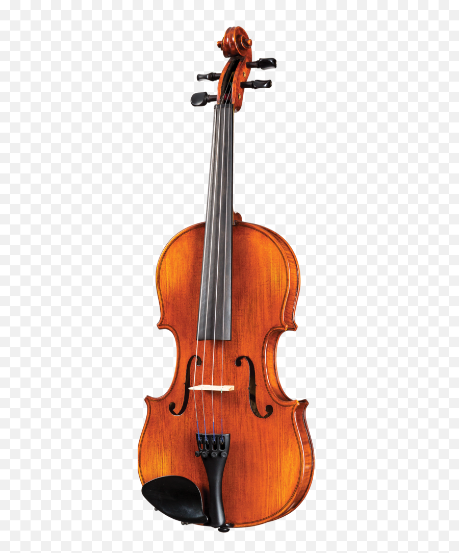 Scott Cao Sta - 017 Viola Outfit U2013 Violin Pros Viola Gasparo Da Salo Png,Violin Transparent Background