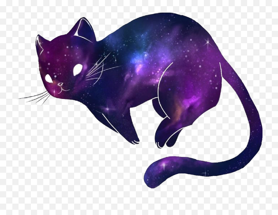 Download Cat Kawaii Galaxy Cute Spacefreetoedit Clip Art - Kawaii Galaxy Cat Background Png,Cute Cat Transparent
