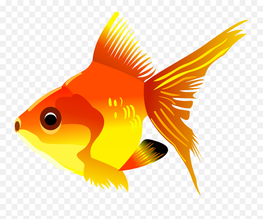 Fish Png Transparent Clipart Image - Fish Clipart Transparent Background,Goldfish Transparent