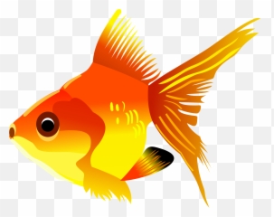 Fish Png Transparent Clipart Image - Background