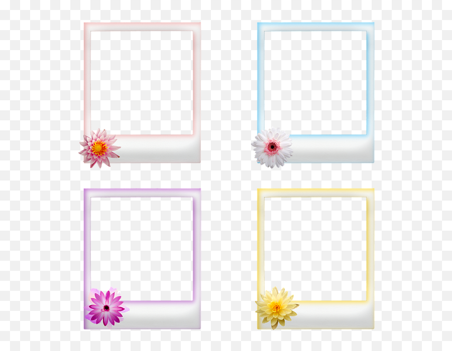 Polaroid Frames Flowers - Frame Bingkai Polaroid Png,Polaroid Frame Transparent