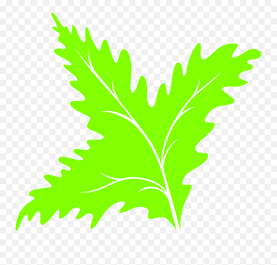 Fileleaf Icon 08svg - Wikimedia Commons Vector Graphics Png,Thomas Icon