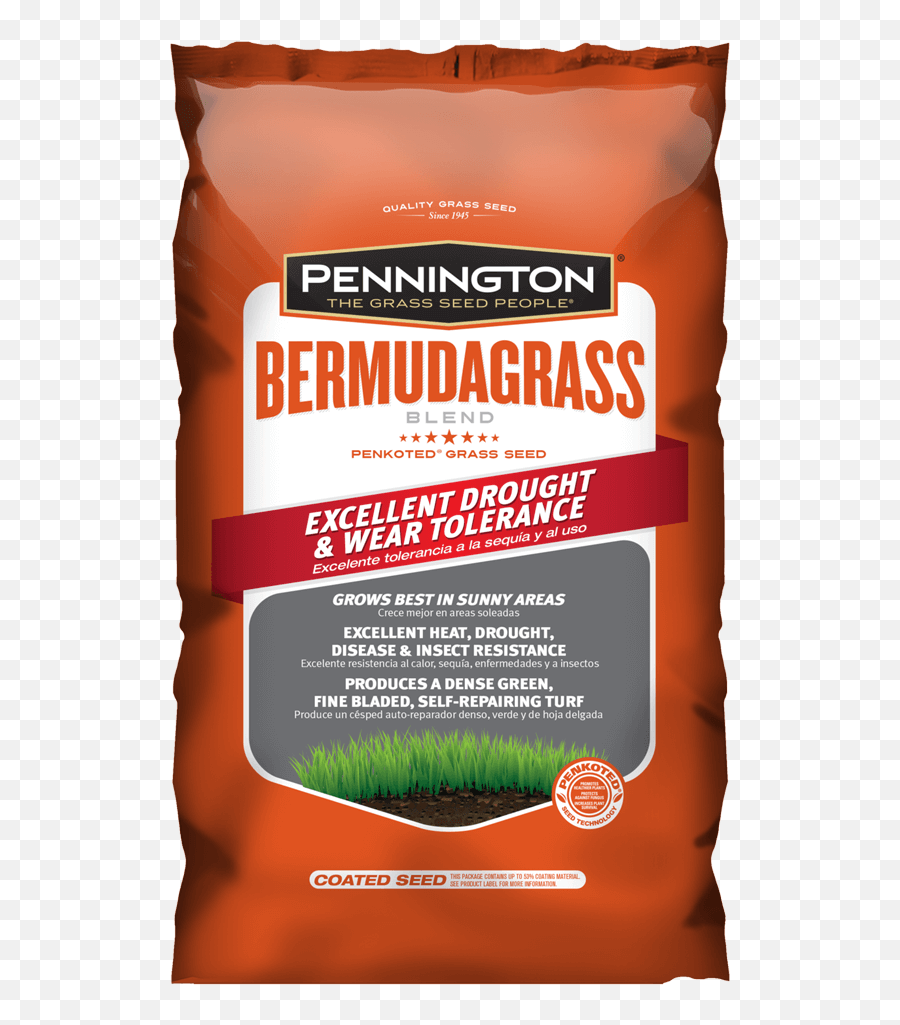 Bermudagrass Blend - Grass Seed Pennington Scutch Grass Png,Dead Grass Png