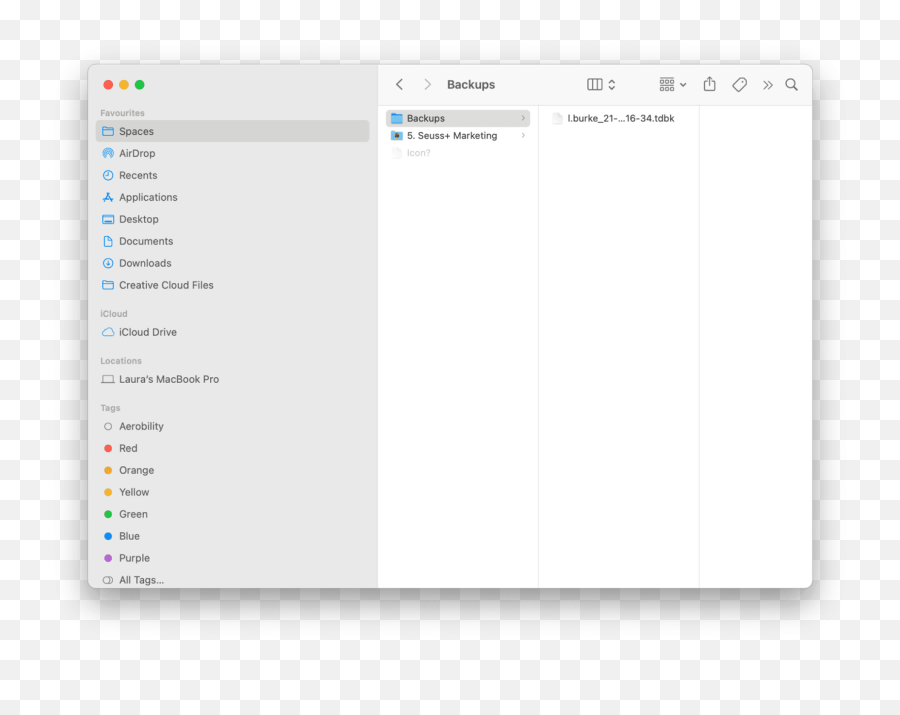 Where Exactly Does Ibooks Store Files - Vertical Png,Mac Documents Icon