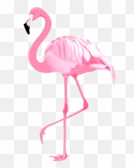 Cool Flamingo Cliparts For Free Png