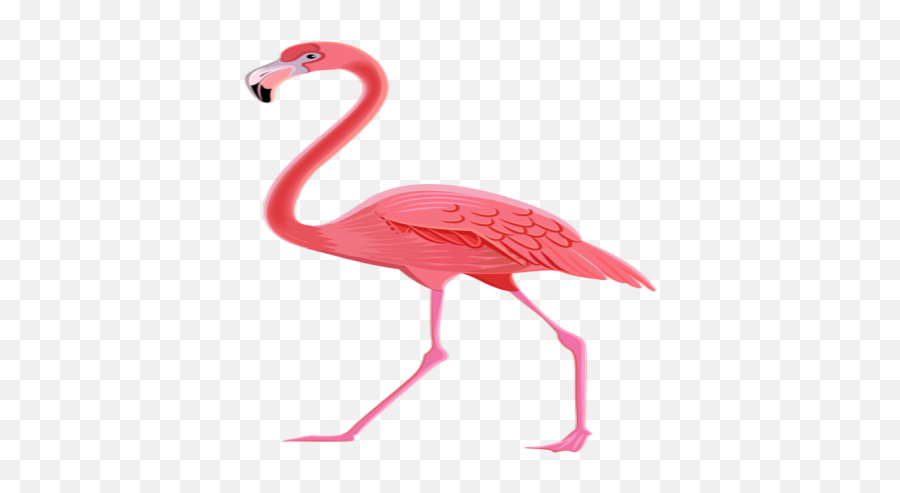 Flamingo - Roblox Png,Flamingo Transparent Background