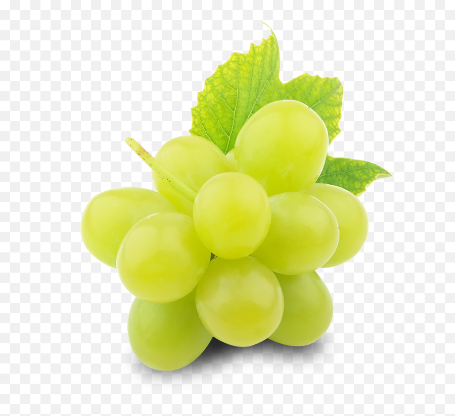 Green Grapes Png Free Download - Grapes Png,Grapes Png