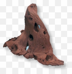 Download U003cimg H13756511 Altu003du003e - Jbl Mangrove Roots Kayu Bakau Png,Mangrove Png
