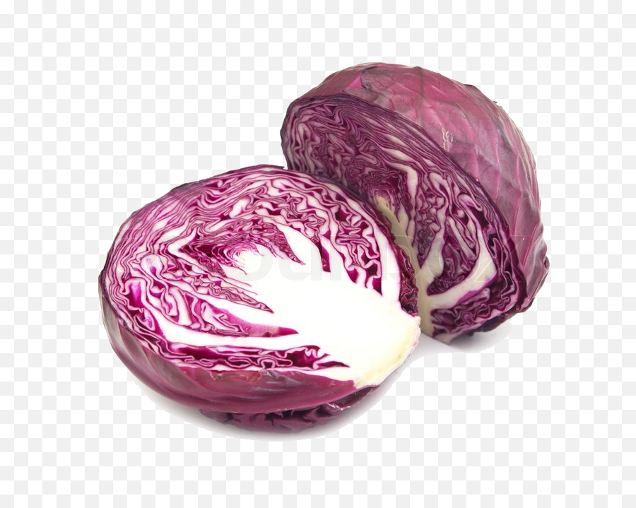 Purple Cabbage Png Image Background - Ruby Perfection F1 Cabbage Seed,Cabbage Png