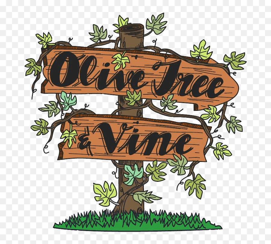 Mild Evoo - Olive Tree And Vine Png,Olive Tree Png