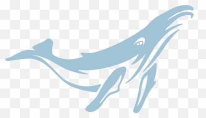 Clients Blue Whale Design - Whale Vector Png Free,Humpback Whale Png