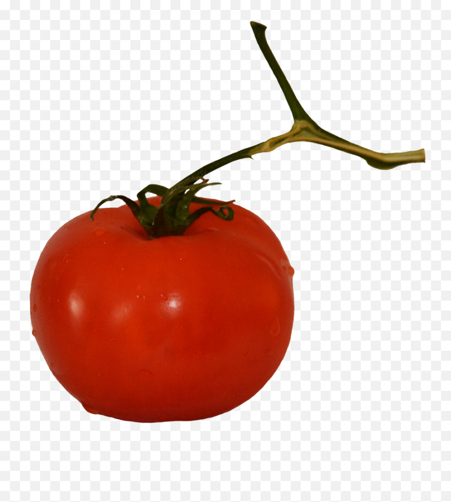 Vegetables Clipart - Plum Tomato Png,Tomato Slice Png