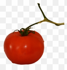 Vegetables Clipart - Plum Tomato Png,Tomato Slice Png