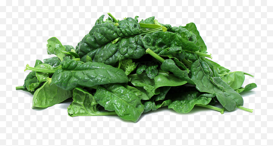 Download Spinach Png Clipart - Spinach Png,Spinach Png