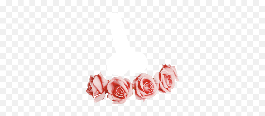 Flower Crown So You Can Drag - Red Flower Crown Sticker Png,Flower Crown Transparent