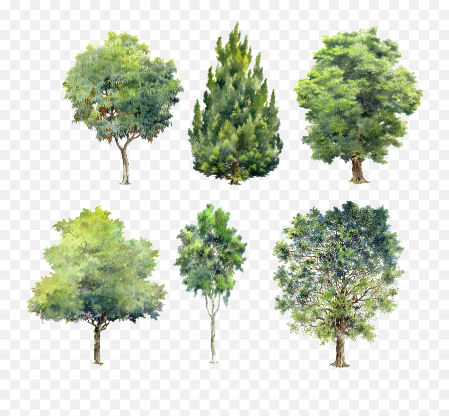 Green Plants Beautiful Hand Painted Png - Painted Tree Brush Photoshop,Watercolor Tree Png