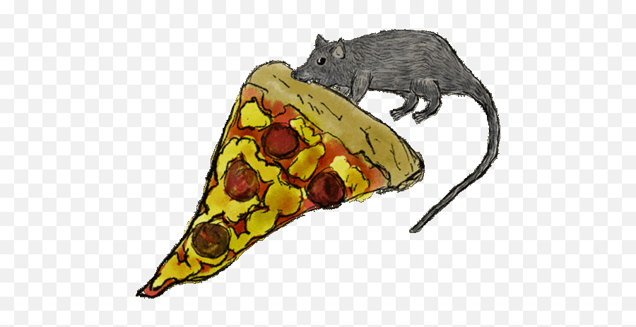 Pizza Rat - Ground Squirrels Png,Rat Transparent