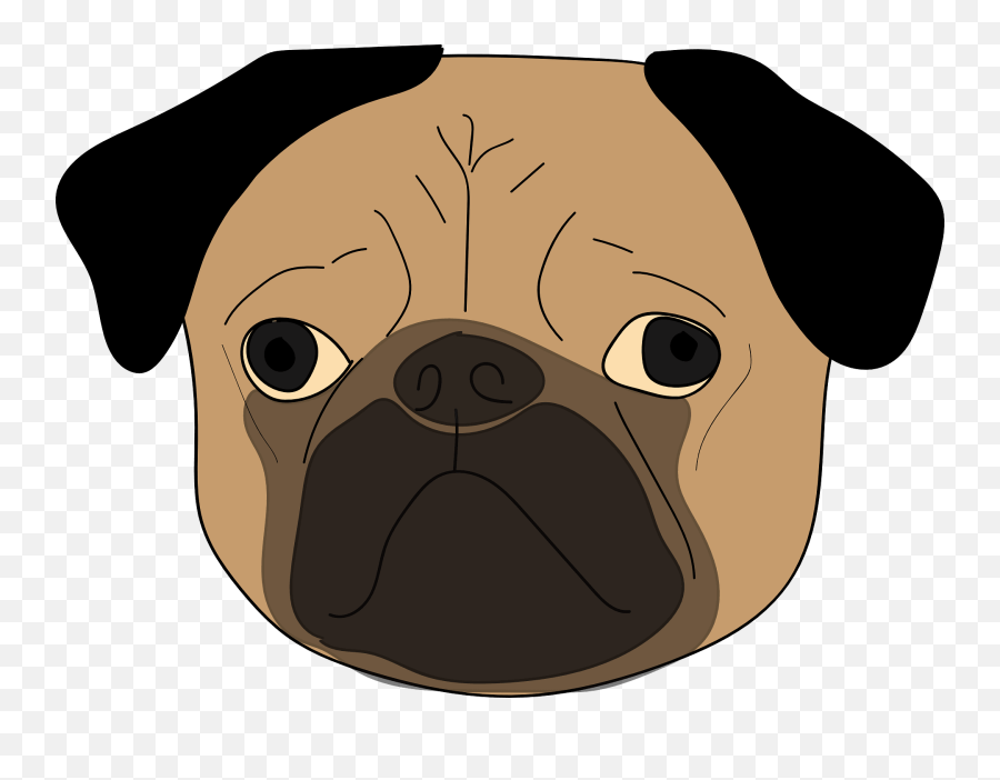 Download The Pug Puppy Dog Cute Animal - Dog Pug Png,Cute Dog Png