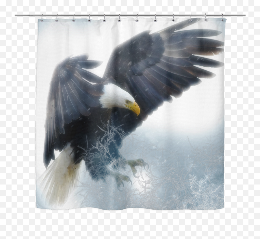 Bald Eagle Flying Png - Eagle In Flight Shower Curtain Eagle Flying Painting,Eagle Flying Png