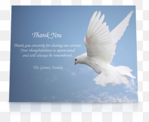 Flat Cards White Dove Printppscom - Free Verse Poem About Flying png