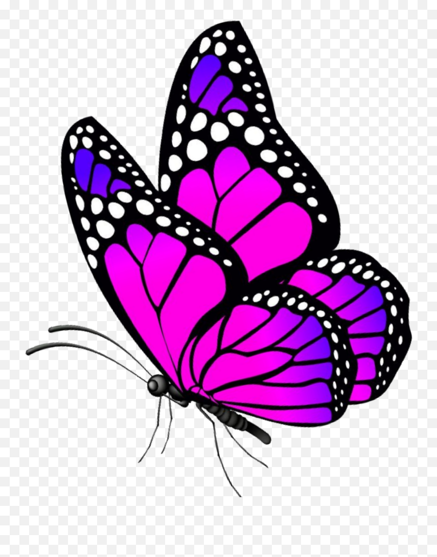 Butterfly - Clipart Flower Butterfly Png,Pink Butterfly Png