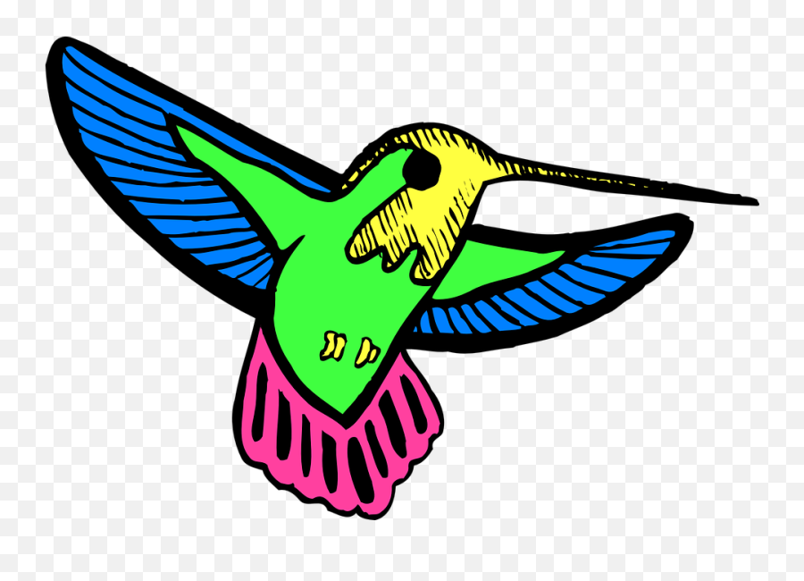 Bird Wings Hummingbird - Free Vector Graphic On Pixabay Colibri Animados Y Tiernos Png,Hummingbird Png