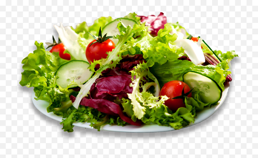 Salad Png High - Special Salad Png,Salad Png