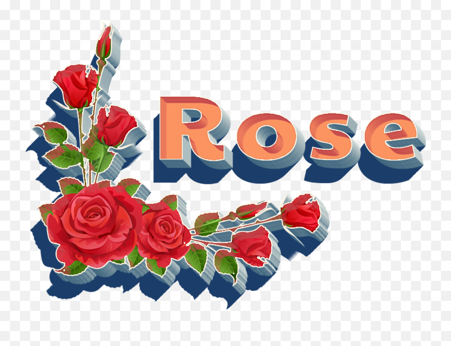 Rose Png Hd