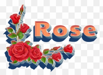 Rose Png Hd