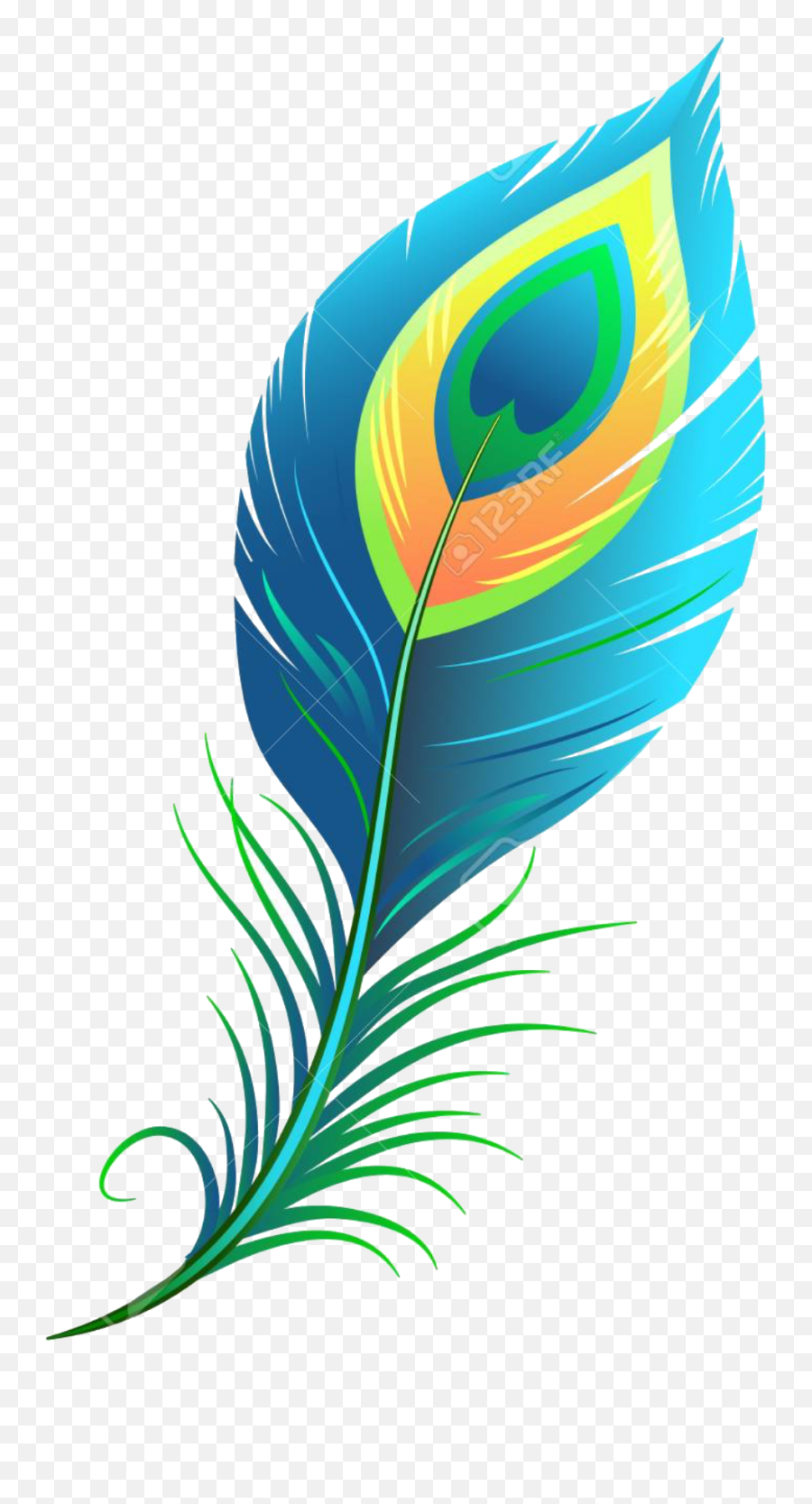 peacock feather clipart