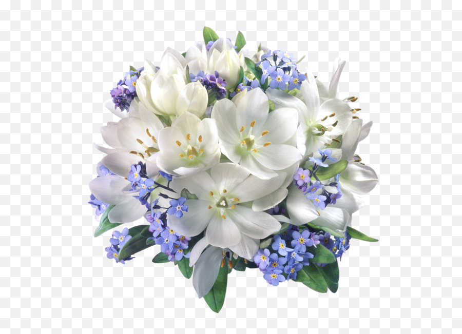 Download Hd 0 - White And Blue Flowers Png Transparent Png Flower Composition Png,Blue Flowers Png