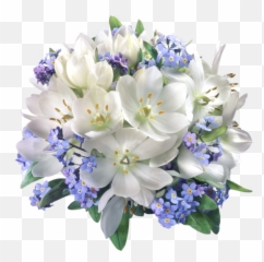 Download Hd 0 - White And Blue Flowers Png Transparent Png Flower Composition Png,Blue Flowers Png