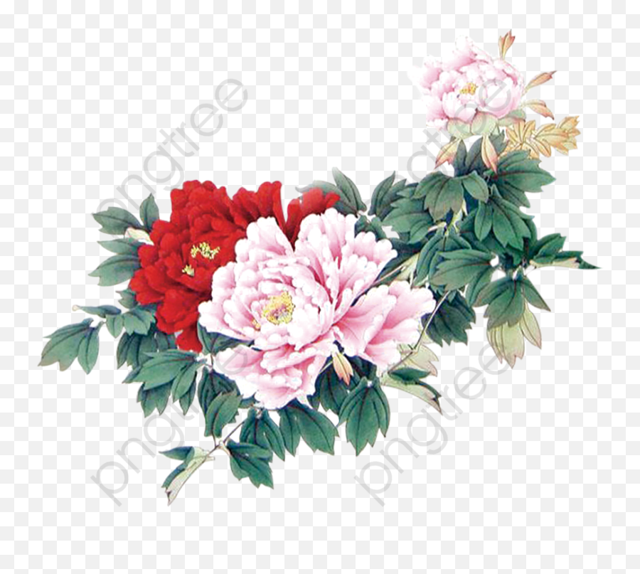 Minimalist Aesthetic Flowers Beautiful - Aesthetic Flowerrs Png,Simple Flower Png