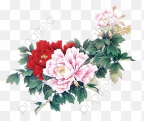 Minimalist Aesthetic Flowers Beautiful - Aesthetic Flowerrs Png,Simple Flower Png