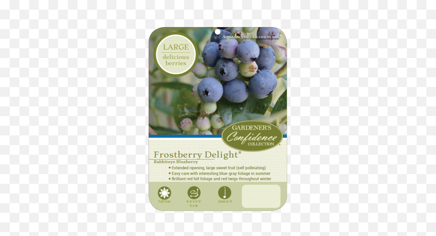Frostberry Delight - Fresh Png,Blueberries Icon