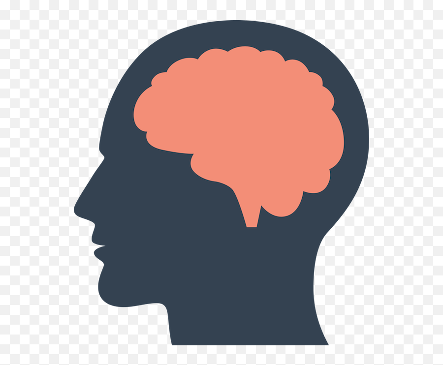 Cerebro - Silhouette Of Brain Png,Health Icon Png