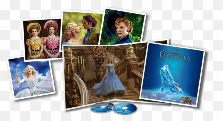 What Is Big Sleeve Movie Edition Pre - Order Zavvi Photographic Paper png