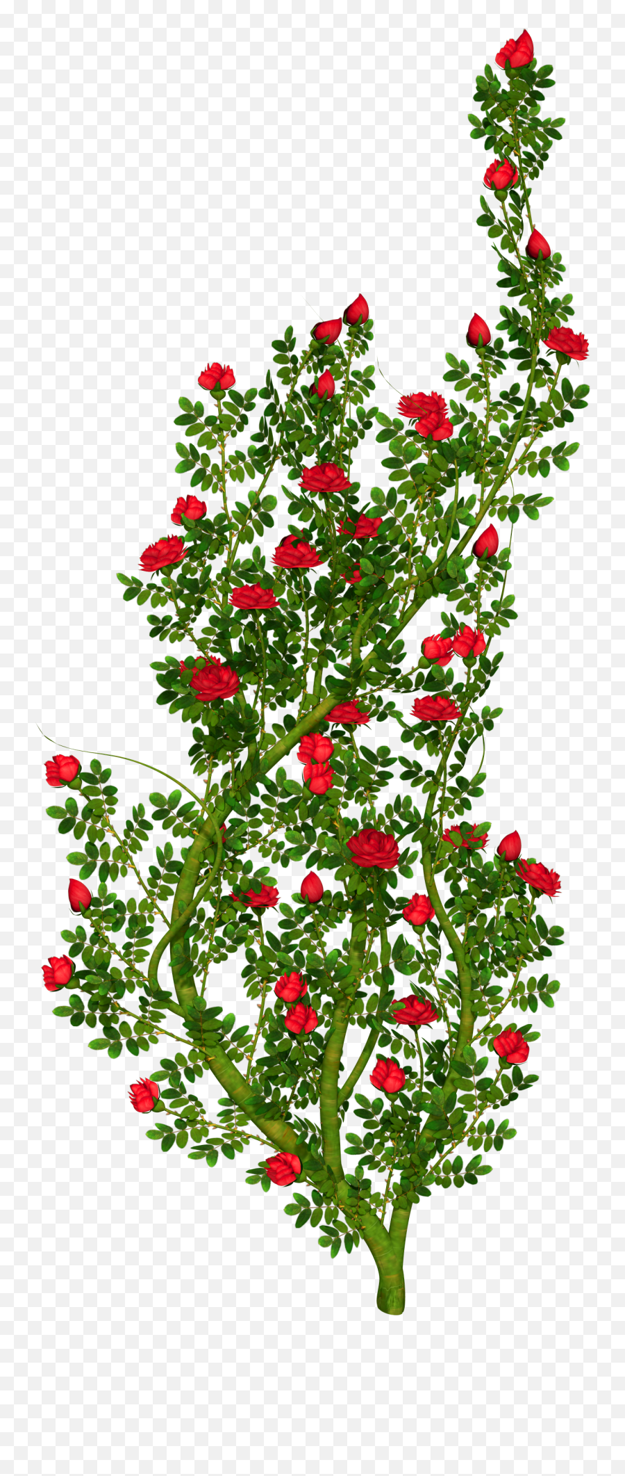 Bushes Clipart Transparent Flower Png