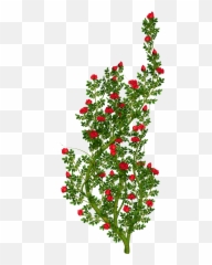 Bushes Clipart Transparent Flower Png