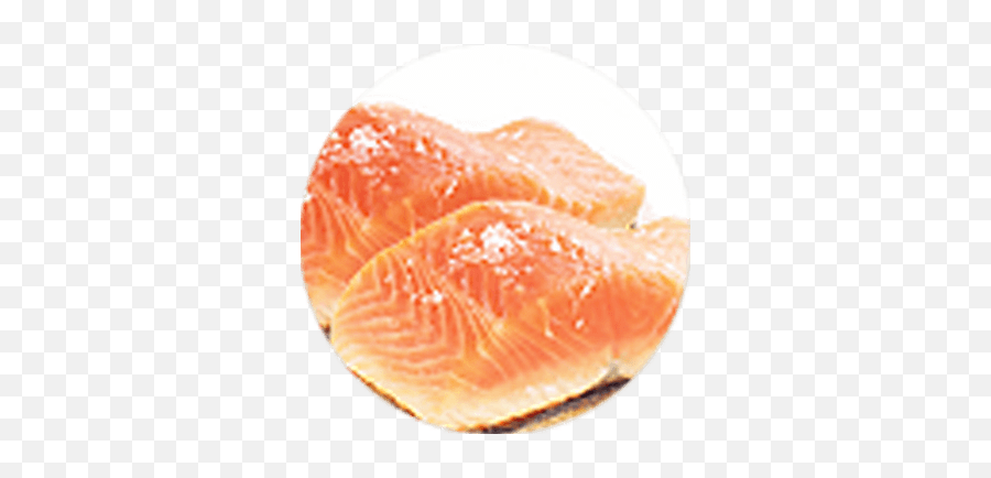 Our Product Salmon Png Icon