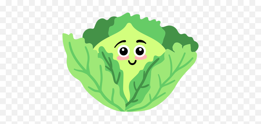 Leaf Cabbage Flat - Illustration Png,Cabbage Png