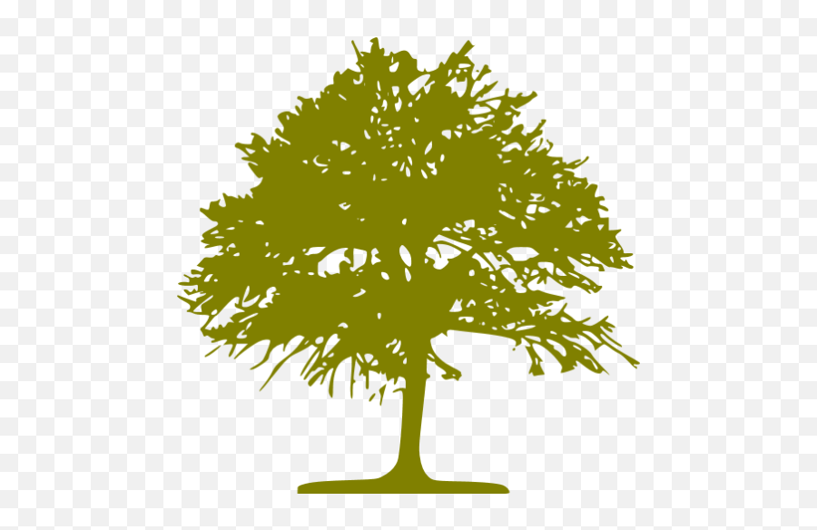 Olive Tree 46 Icon - Free Olive Tree Icons Raw And Cold Extracted Honey Sidr Png,Olive Tree Png