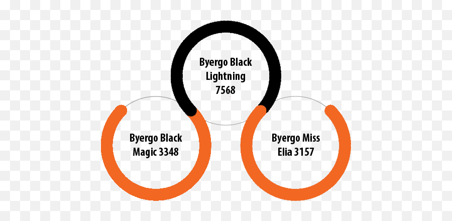 Wall Street Cattle Co Byergo Black Lightning 7568 - Circle Png,Black Lightning Png